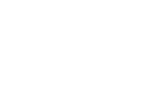 eBIMS